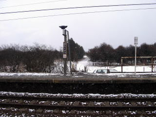 �k�L�Ẫz�[�����猩�������֍s����