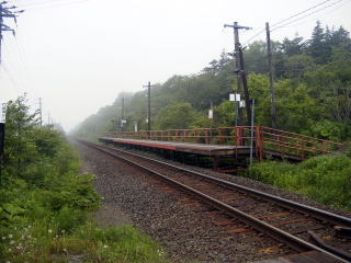 ���z���̃z�[���S�i