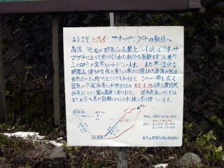 �q�X�C���̈ē���