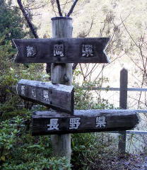 ���a�c�ɂ���R�̌����W�B