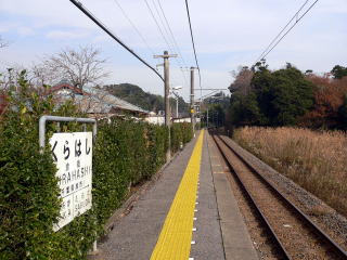 �q���̃z�[��