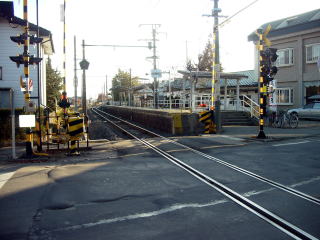 �{�؂̃z�[��