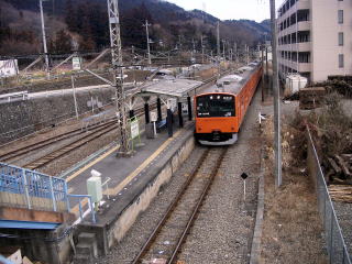 �{�m���̃z�[��