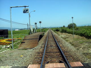 ����̃z�[��