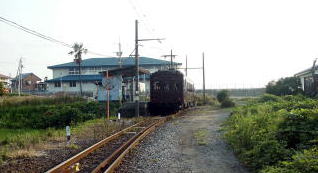 ����{�R�Ɏ~�܂�N���n�S�Q