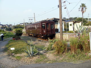 ����{�R�ɒ�Ԃ��Ă���N���n�S�Q