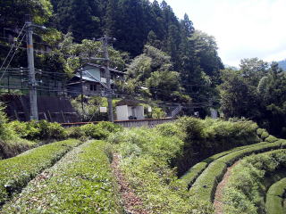 ���䎘�̃z�[���ƒ���