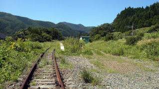 �X�C�b�`�o�b�N����̒��R�h�̃z�[���̐�[