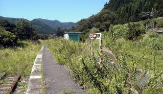 �z�[���̏ォ��B���������R�h