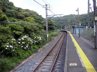 �s��A�C�����h�̃z�[��