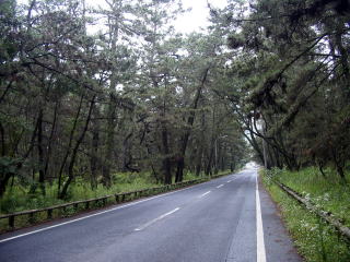 ���m�����̉w�O�̓��H