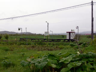 �f��̃z�[���Ǝ��ӂ̕��i