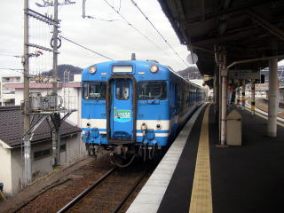 �։�w�ɒ�Ԓ��̃L�n�T�W�{�L�n�Q�W