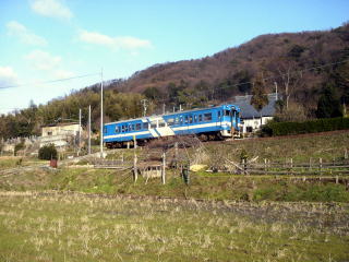 ���։�t�߂𑖂�L�n�T�R