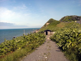 ���������猩�����땔�̑ҍ���