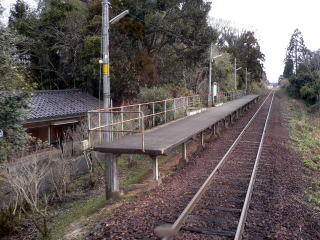 ���g�̃z�[���S�i