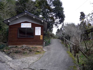 ���g�̑ҍ���