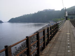 �C�삩�猩������{�C