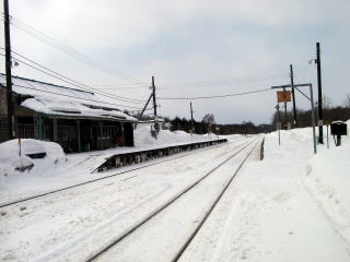 �Y�M���̃z�[��