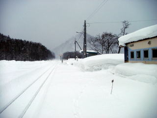 ⫓��̃z�[��