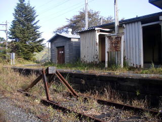 ���̋��z�[���Ɖw���W