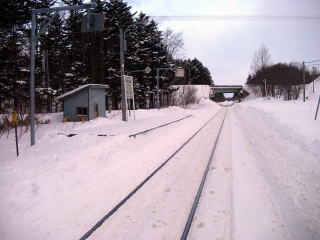 �쉺���̃z�[���ƍ���