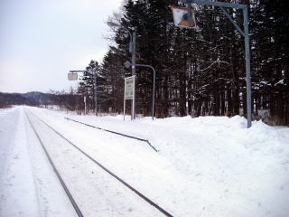 �쉺���̃z�[��