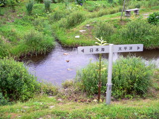 ��c�̉w�O�ɂ��镪����