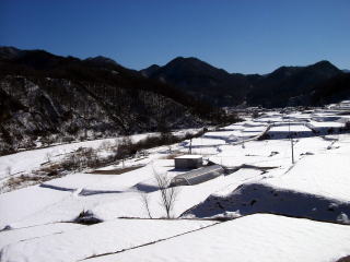 ���v�L���̎��ӂ̕��i