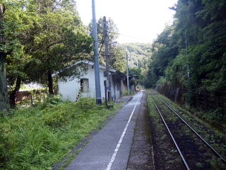 �V���̃z�[��