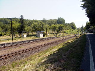 ����̃z�[���ƈ�ڐ�{���̖؁X