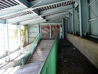 �c�q�q�̉w�ɂ̒�