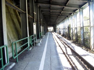 �c�q�q�̃z�[��