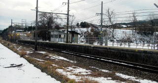 �������̃z�[���S�i