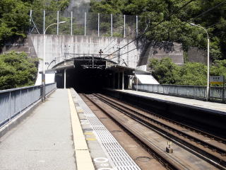 ���c���̃z�[��