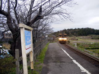 �����ɓ��������̂ƓS���̃f�B�[�[���J�[