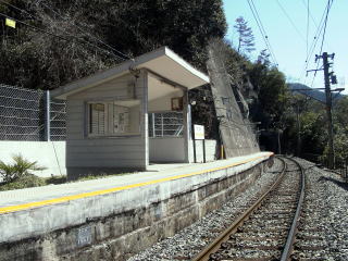 �c�{�̑ҍ���