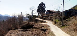 �c�{�̉w����