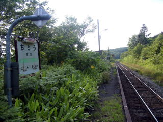 �q���̃z�[��