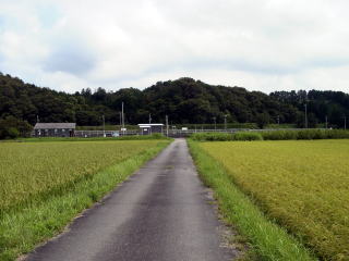 �O��c�̉w�S�i