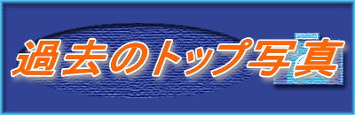 �ߋ��̃g�b�v�ʐ^
