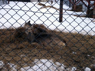 ���H�̉w�̋߂��ɂ���G�]�V�J