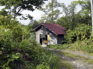 �L�����̑ҍ���