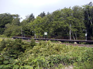 �L�����̃z�[��