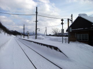 �L�����̃z�[���S�i