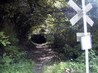 �ؐK�̓��؂���Â��ѓ�