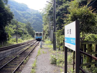 �ؐK�ɂ���ė����L�n�T�S