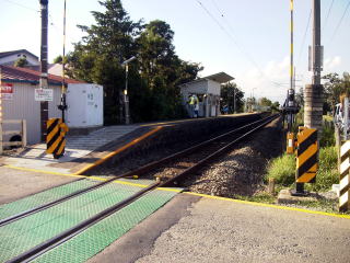 �W���̃z�[��