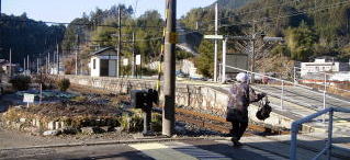 �Y��̃z�[��