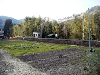 �����̃z�[���S�i